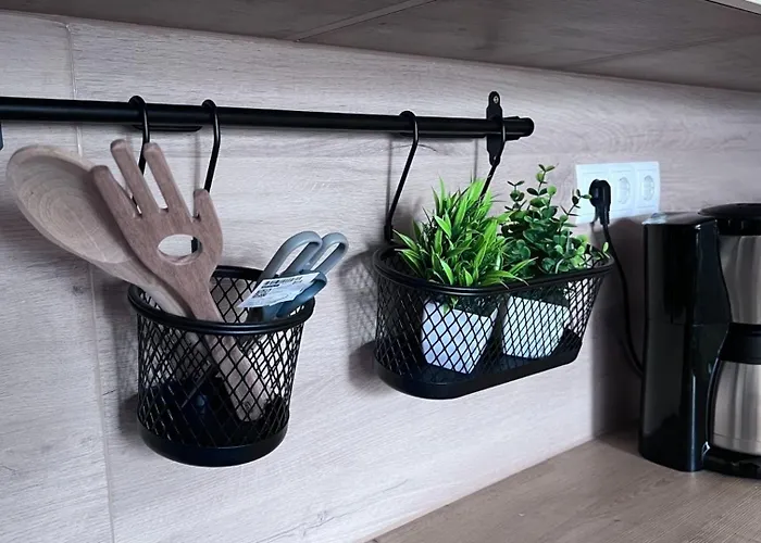 Emsland Hus Wg1 公寓 Niederlangen